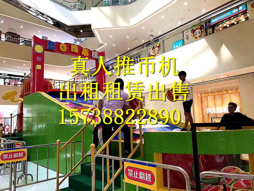 连云港真人推币机租赁服务 工厂现货，快捷省心